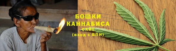твердый Козельск