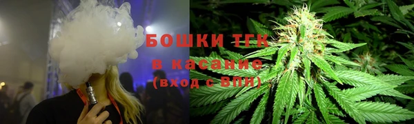 ГАЛЛЮЦИНОГЕННЫЕ ГРИБЫ Арсеньев
