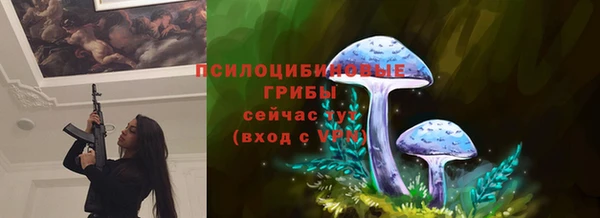 2c-b Аркадак