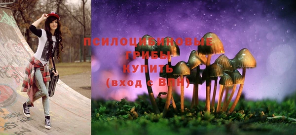 ГАЛЛЮЦИНОГЕННЫЕ ГРИБЫ Арсеньев