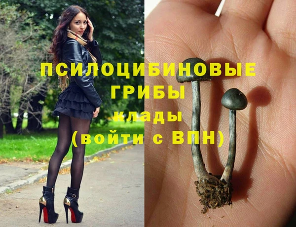 эйфоретик Армянск